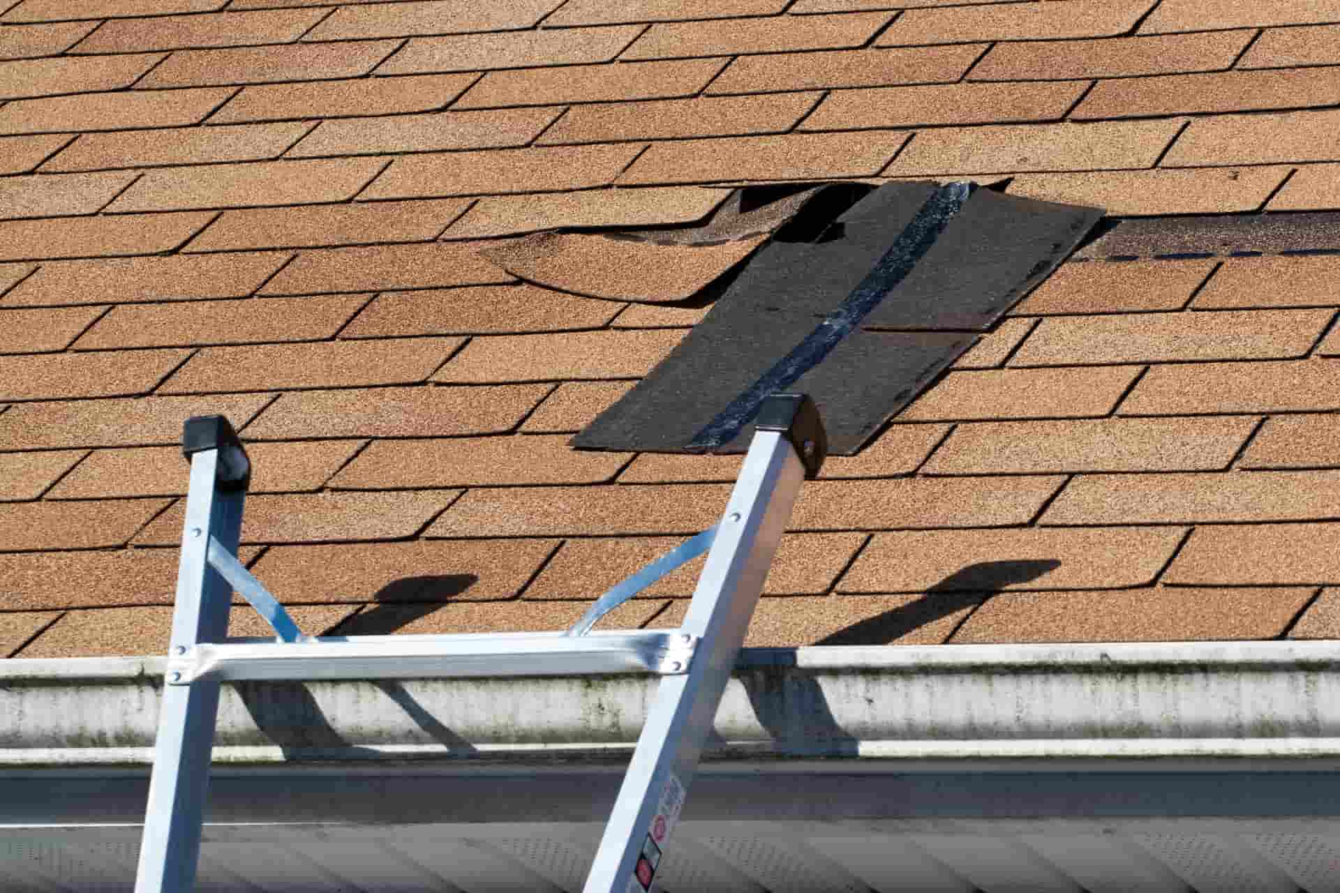 Home insurance roof leak information